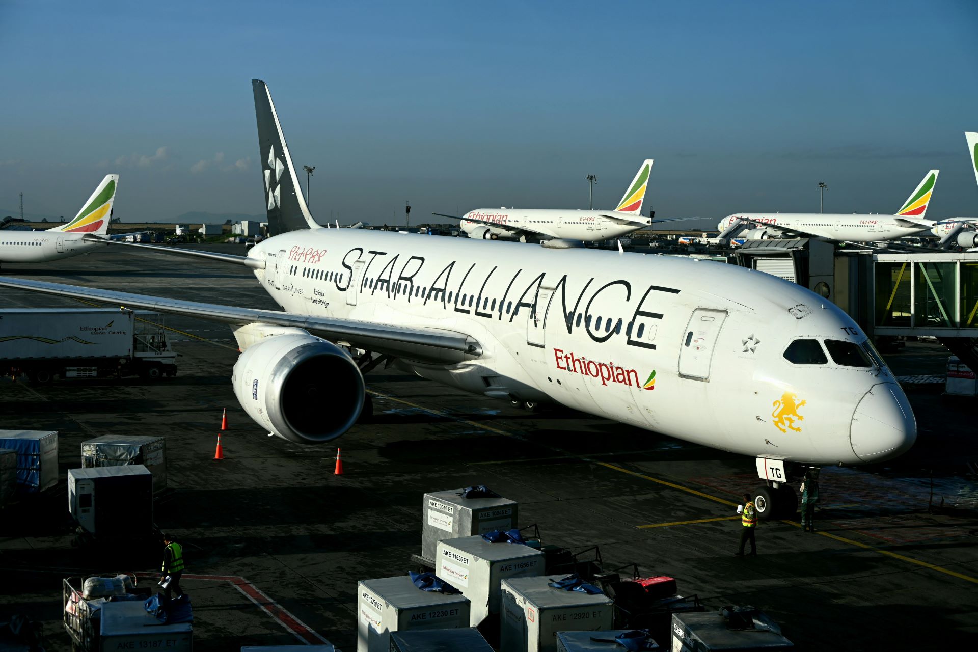 the-economics-of-airline-alliances-explained-simply