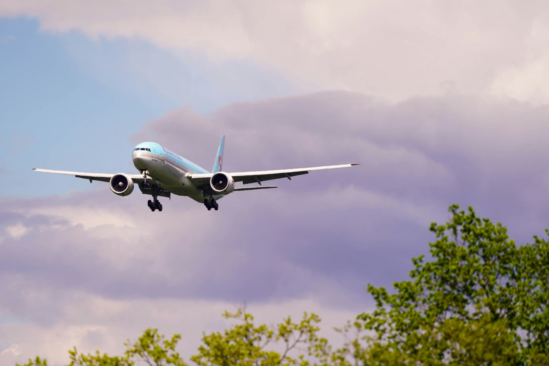 Luxury in the Air How Premium Flights Boost Tourism-1