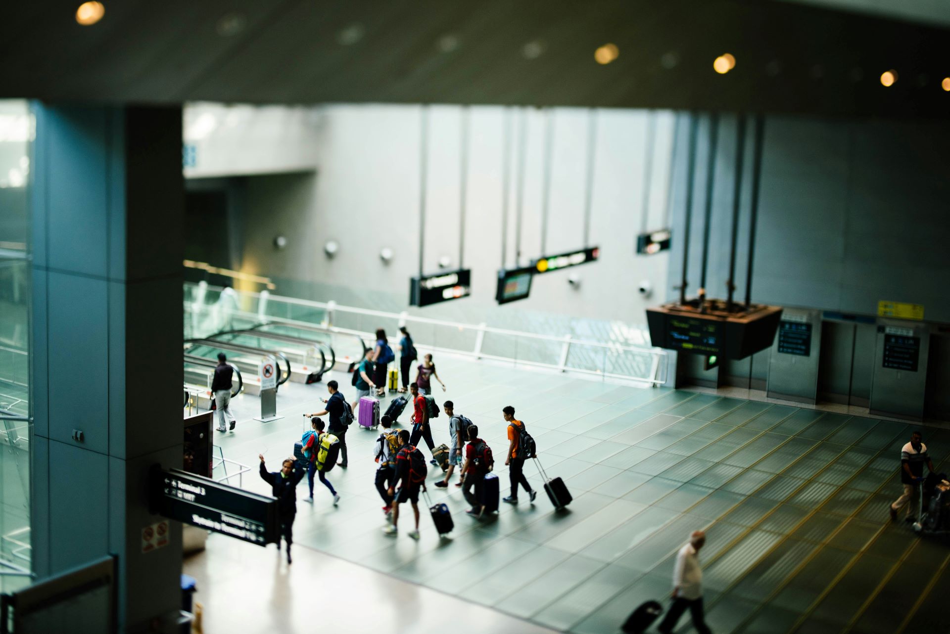 Traveling Smarter Airline Data Drives Tourism Innovation-2