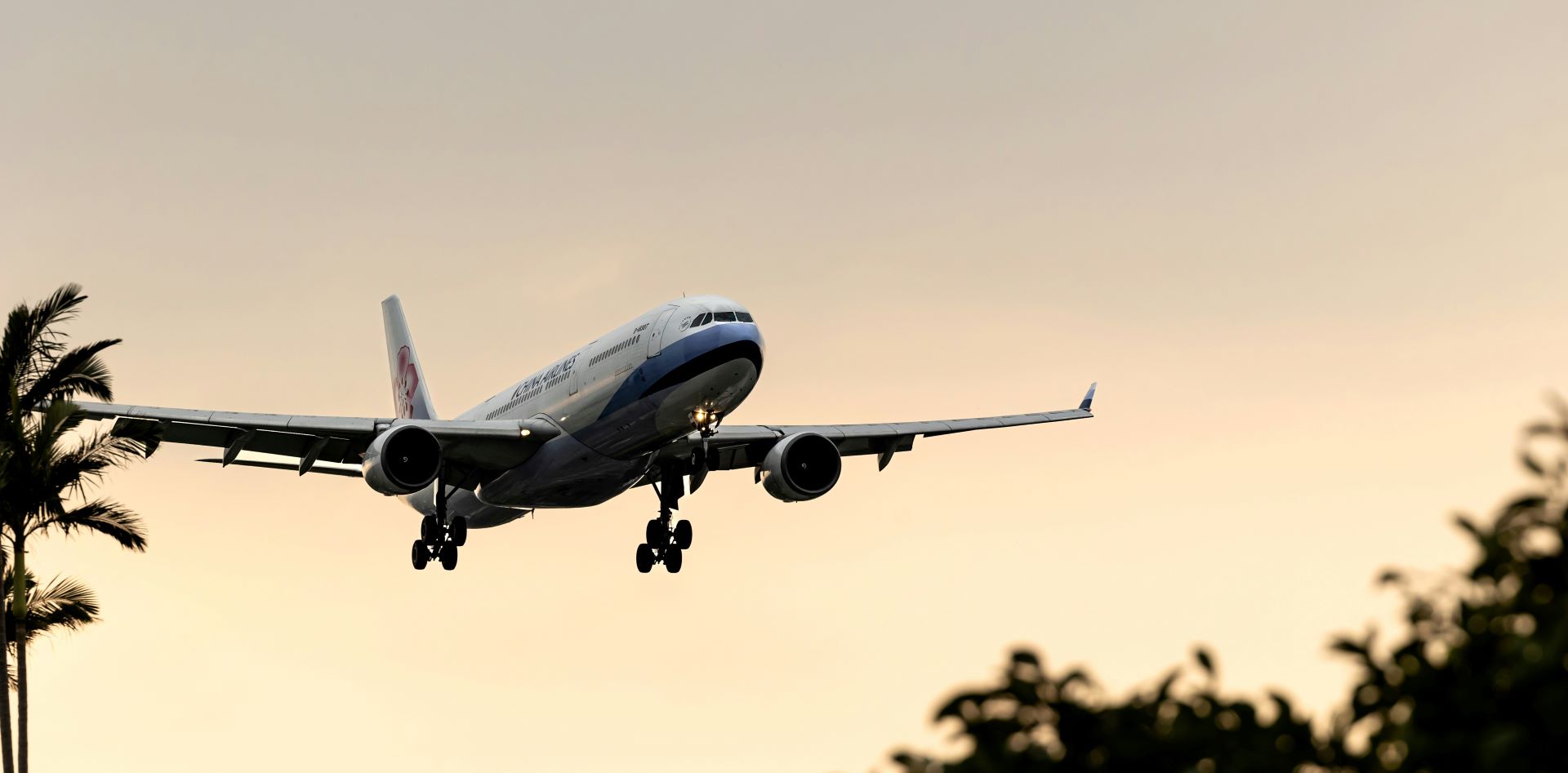 airline–tourism-board-alliances-power-inbound-travel-2