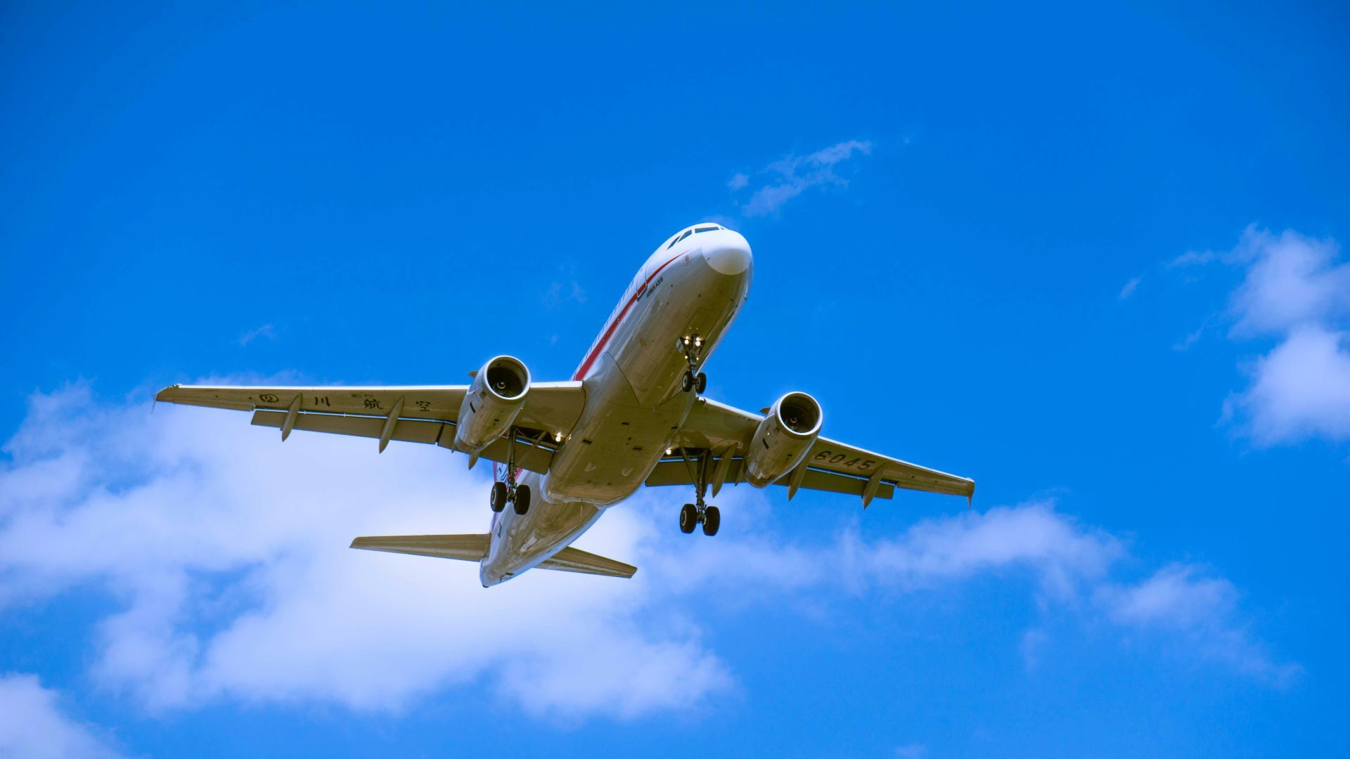 airline-loyalty-programs-as-tourism-drivers-1.jpg