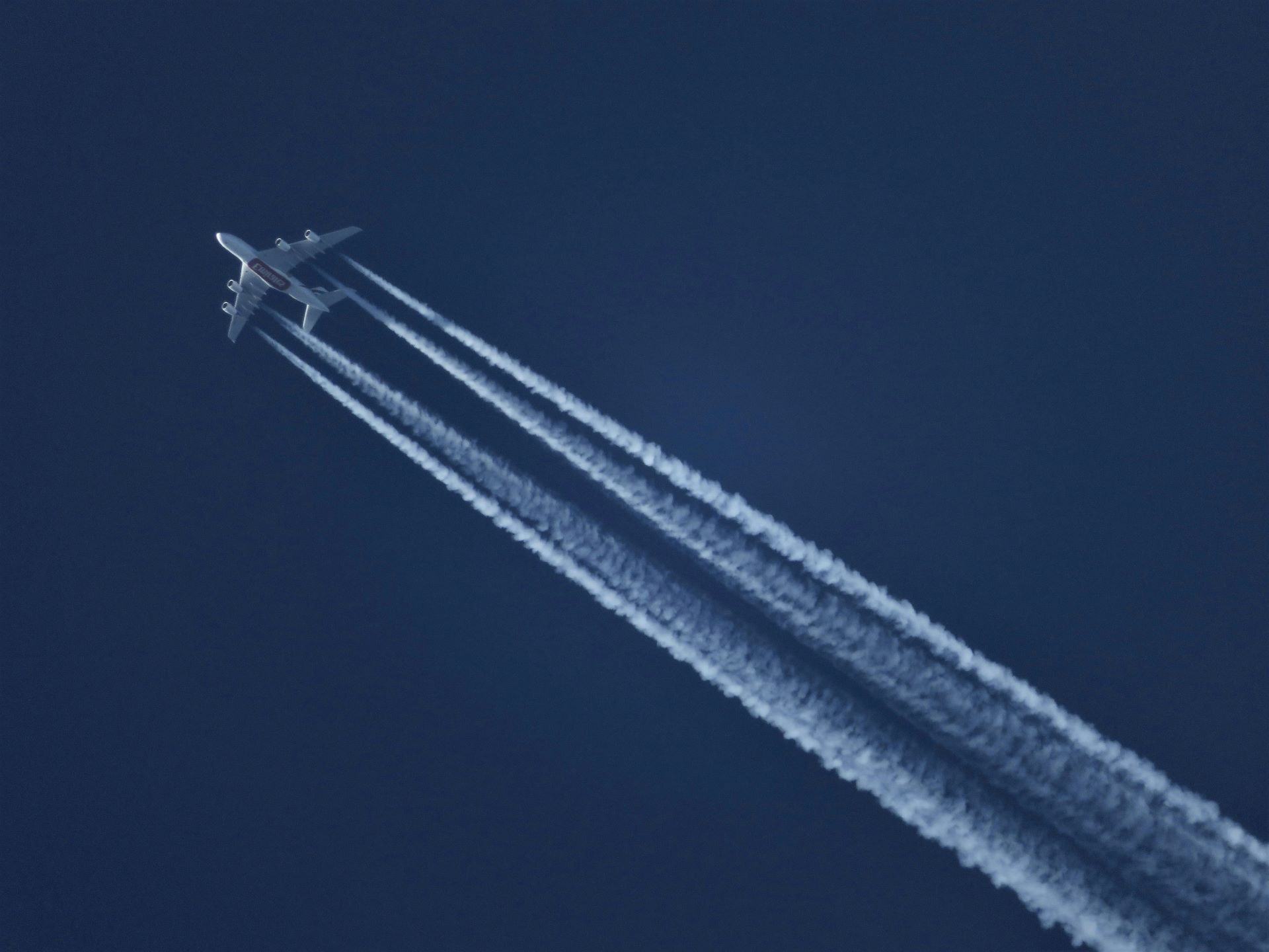 airline-loyalty-programs-fueling-global-travel-adventures-2.jpg