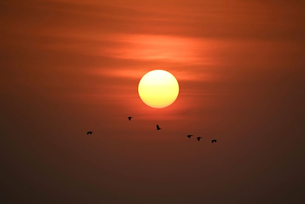 airline-tickets-to-gambia-2-1024x683.jpg
