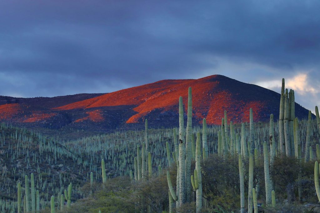 airline-tickets-to-mexico-1024x683.jpg