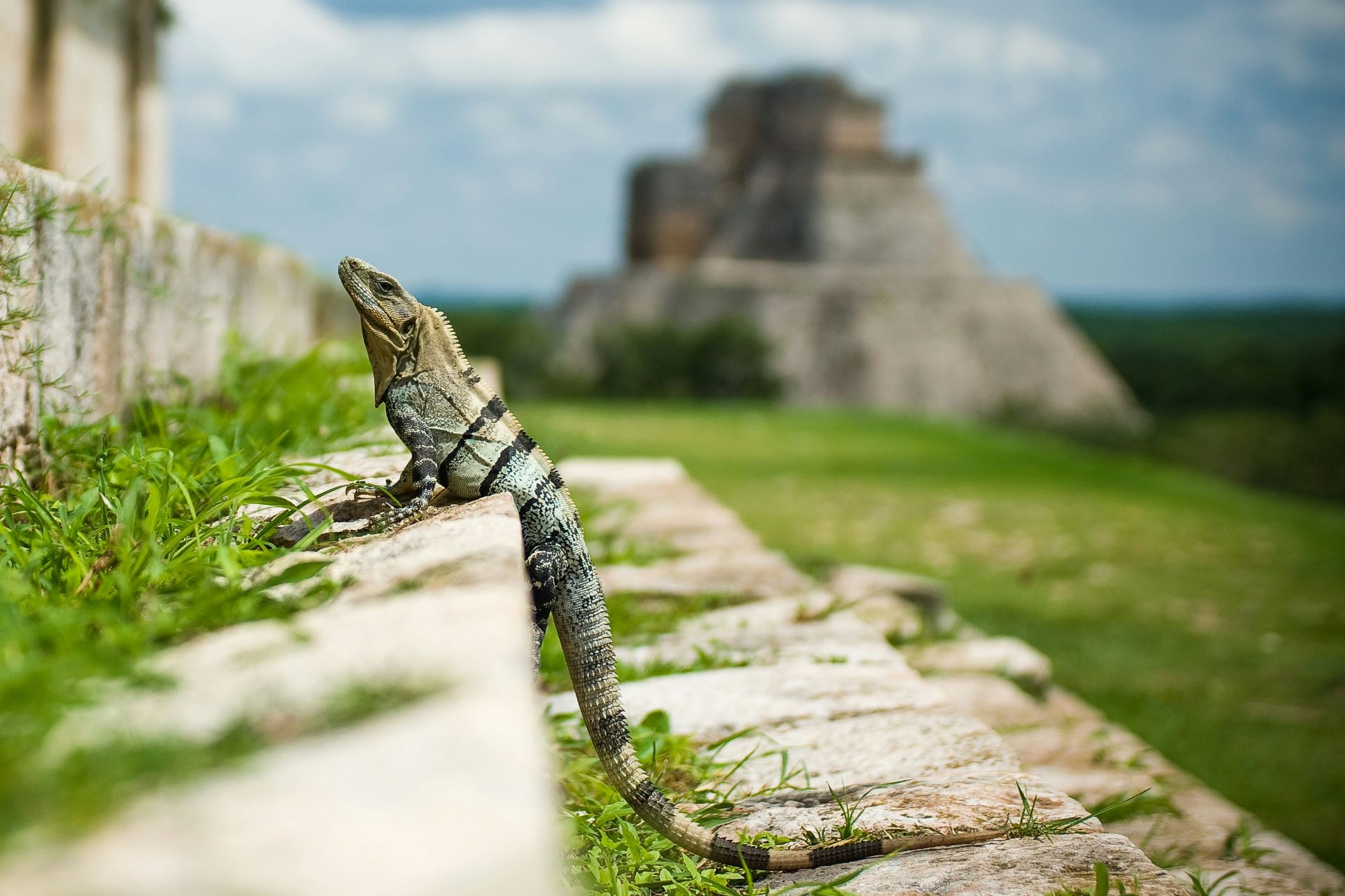 airline-tickets-to-mexico-2.jpg