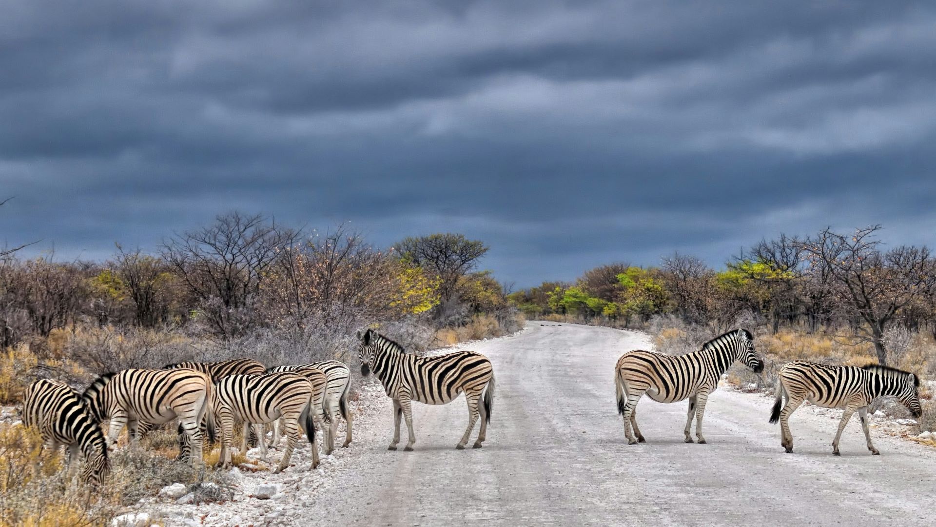 airline-tickets-to-namibia-1.jpg