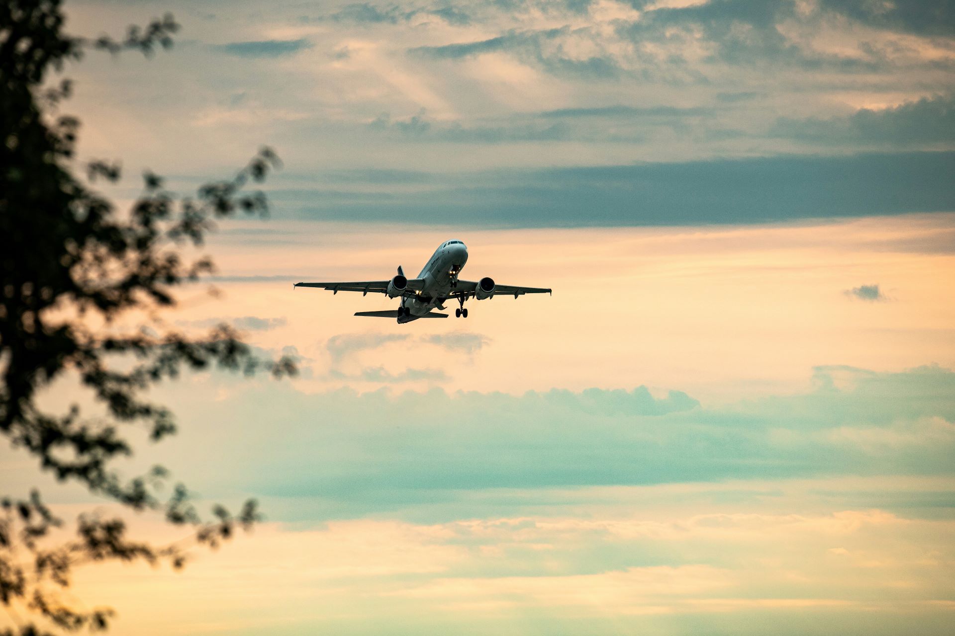 aviation-meets-wellness-tourism-elevating-the-sky-as-a-sanctuary-2.jpg