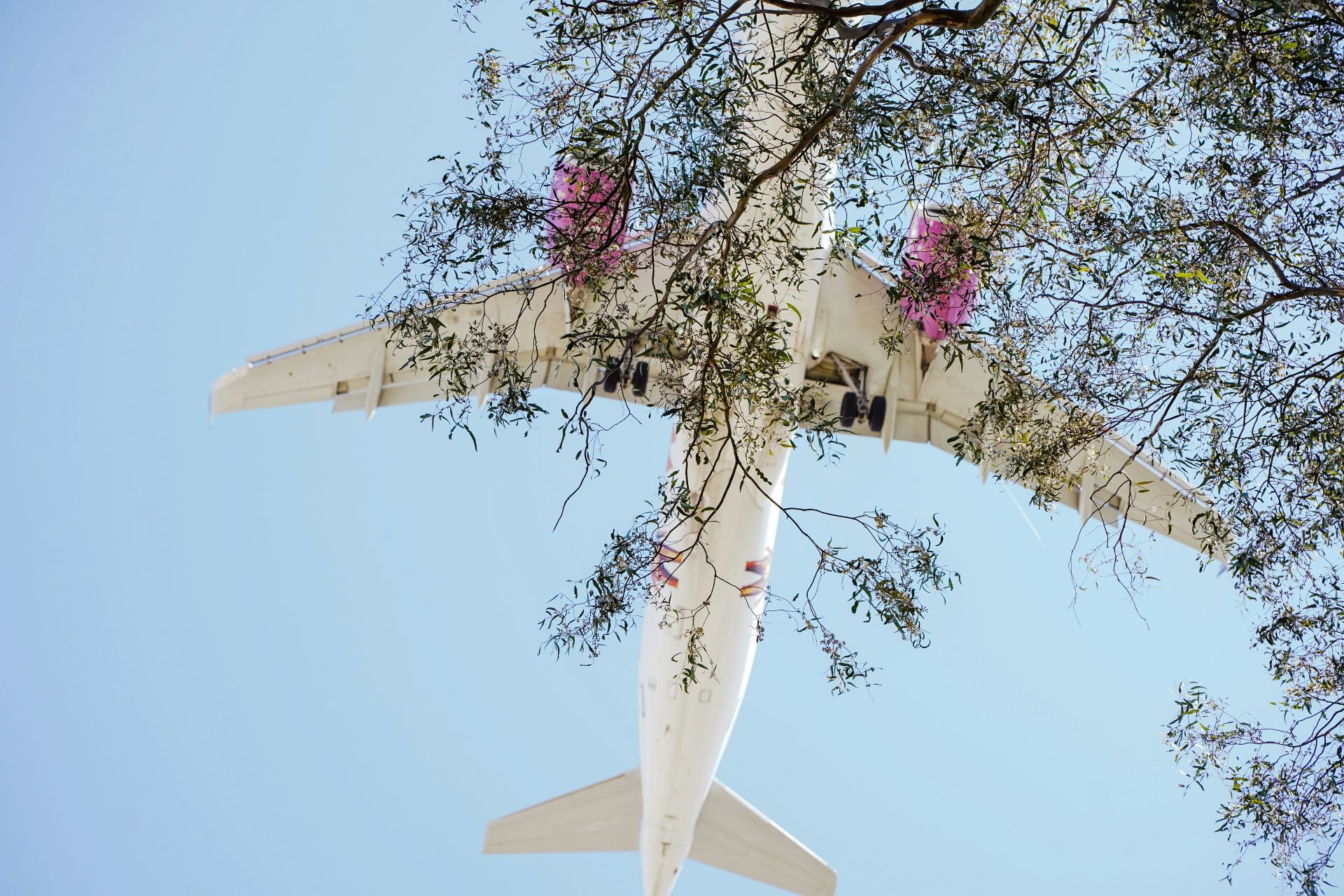 aviation-meets-wellness-tourism-elevating-the-sky-as-a-sanctuary.jpg