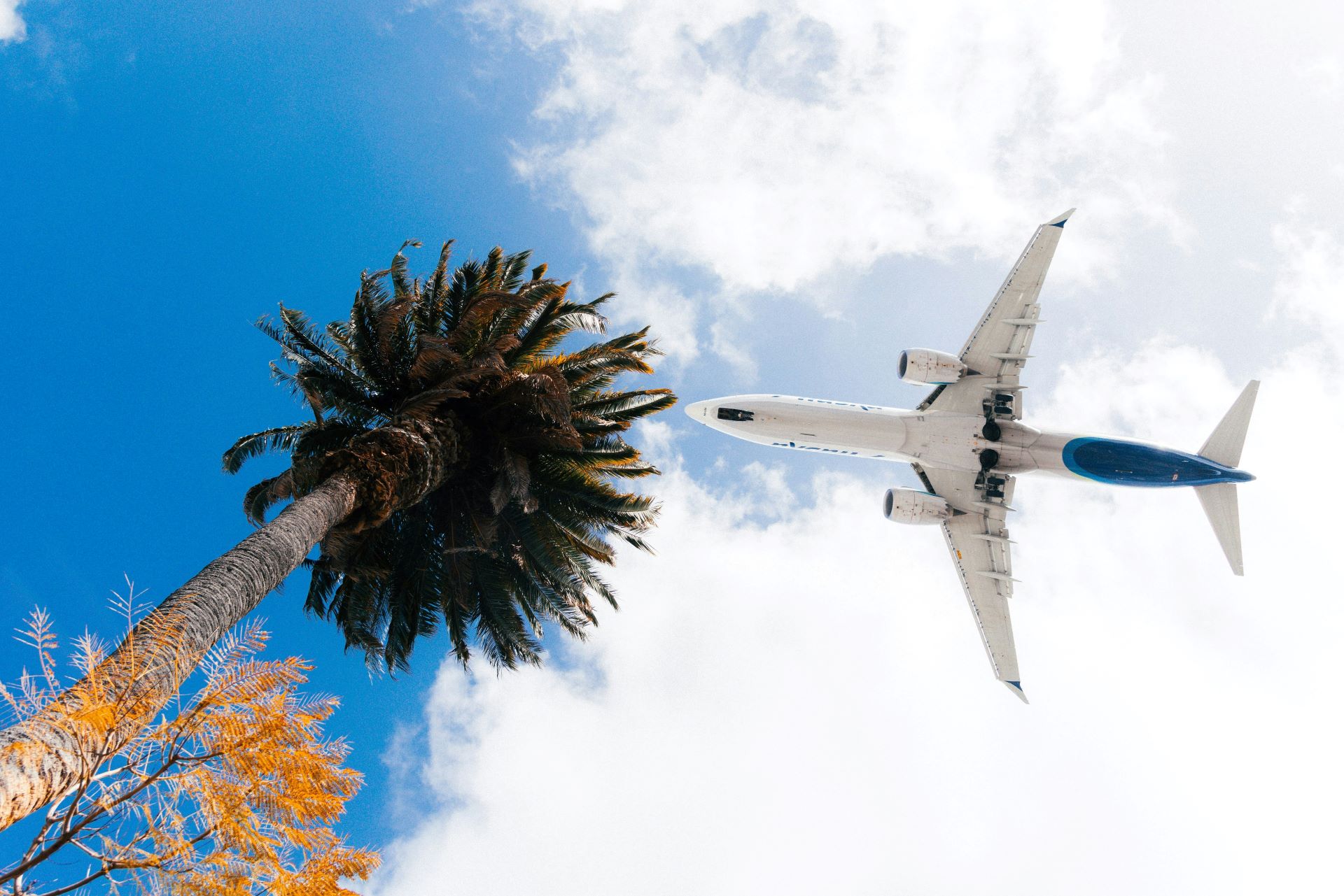 aviation-sustainability-and-green-tourism-charting-a-greener-path-in-travel.jpg
