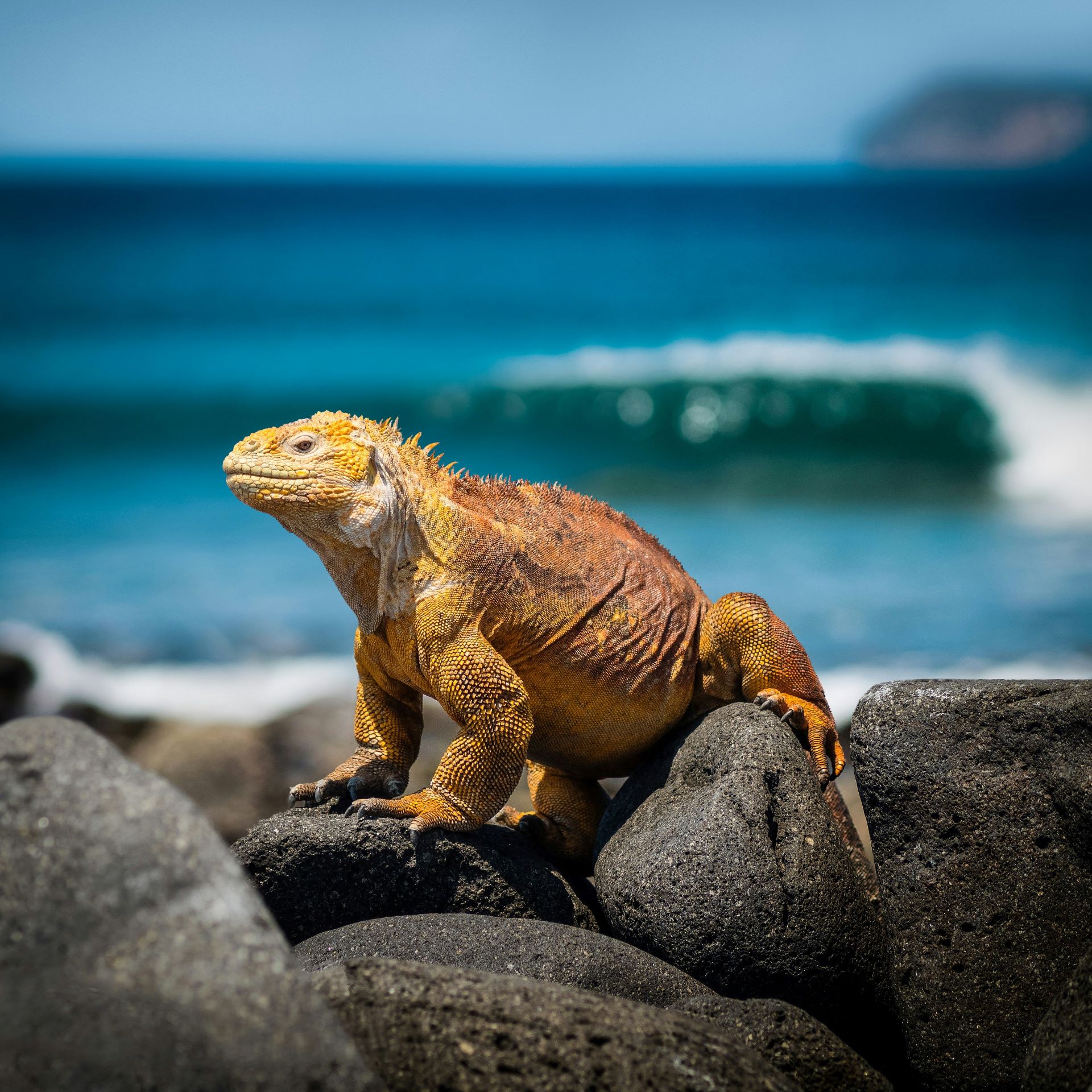 booking-airline-tickets-to-ecuador-2.jpg