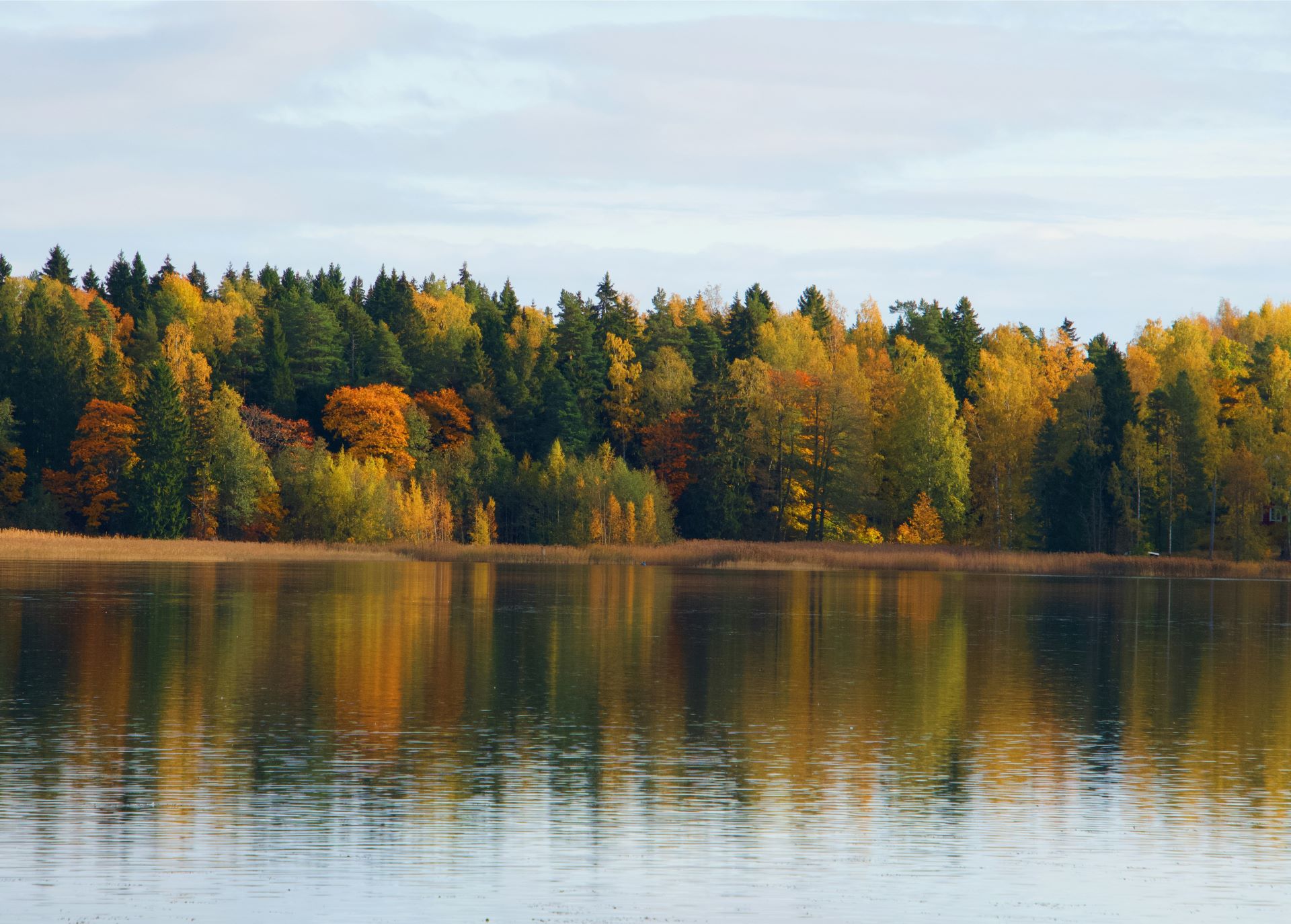 booking-airline-tickets-to-finland-1.jpg