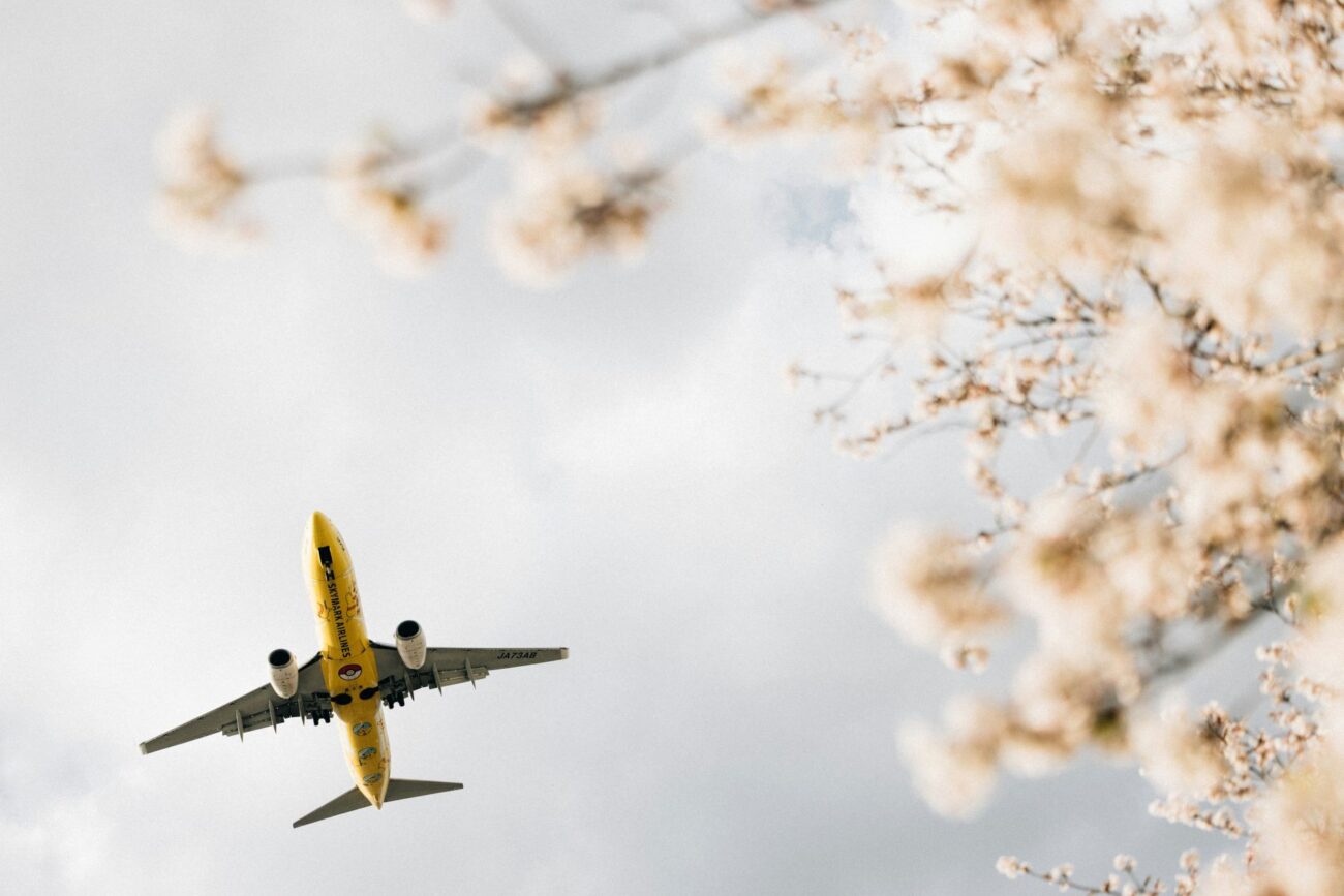 cultural-connections-airlines-as-tourism-ambassadors-1-1300x867.jpg