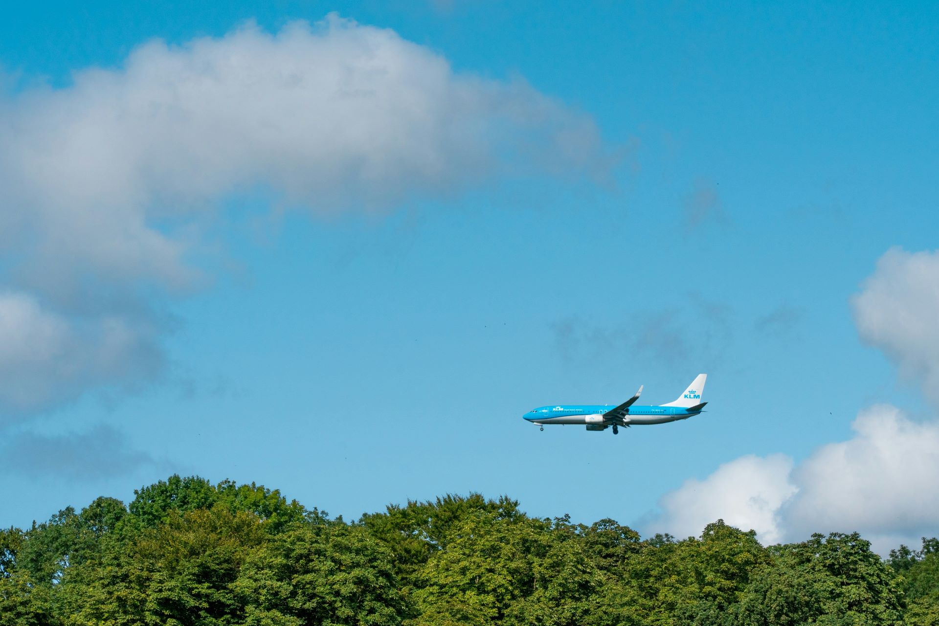 eco-friendly-skies-airlines-pioneering-sustainable-travel-1.jpg