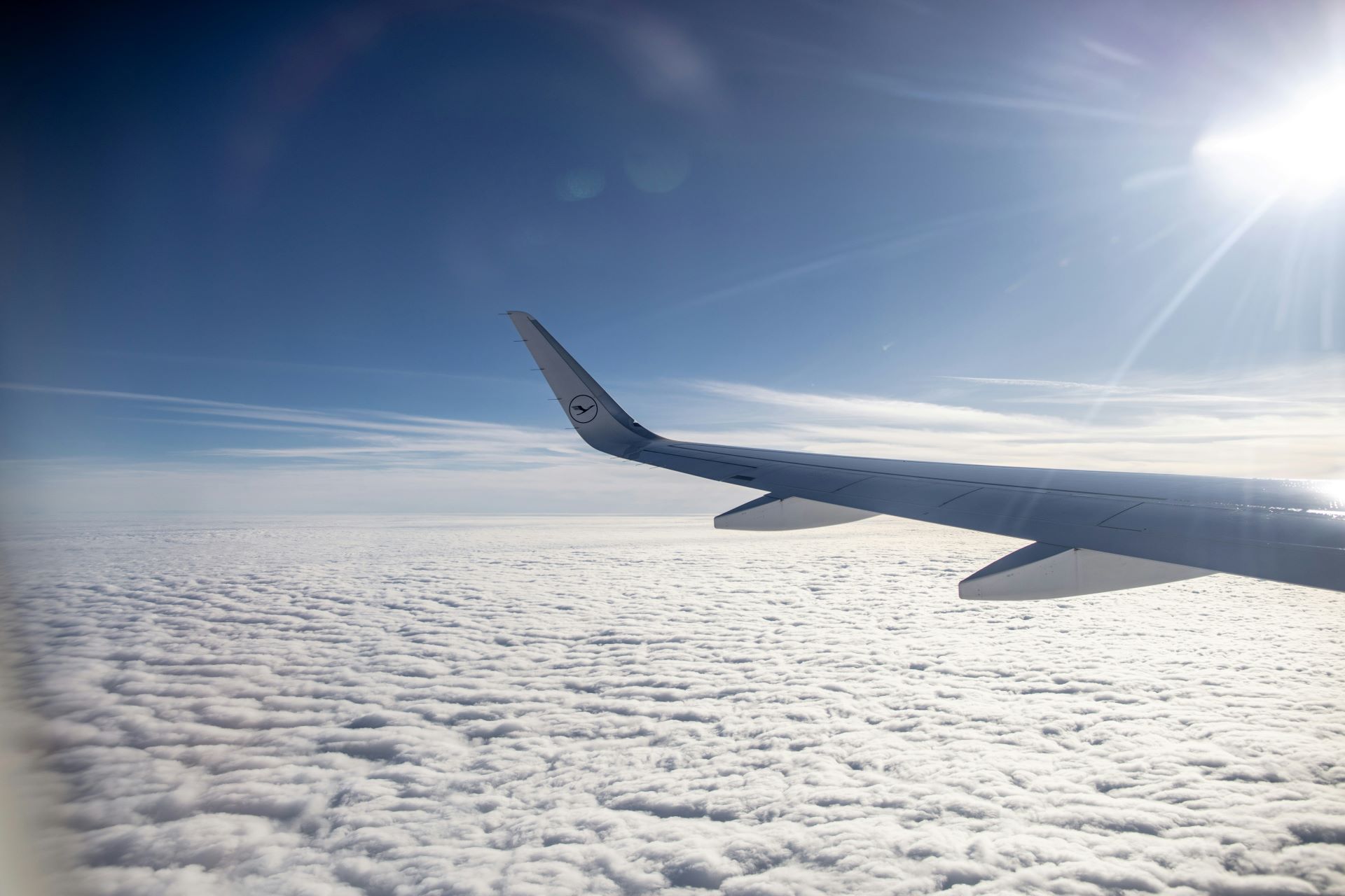 eco-friendly-skies-airlines-pioneering-sustainable-travel-2.jpg