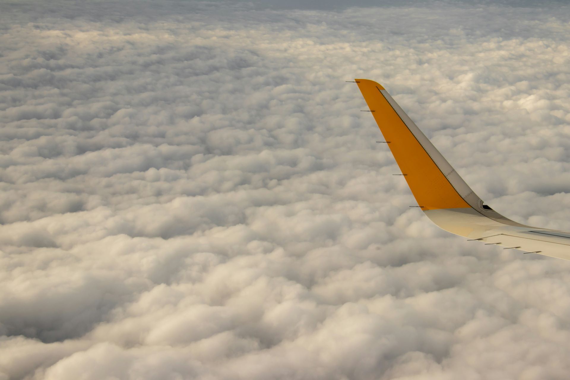 flying-with-confidence-how-safety-shapes-travel-choices-1