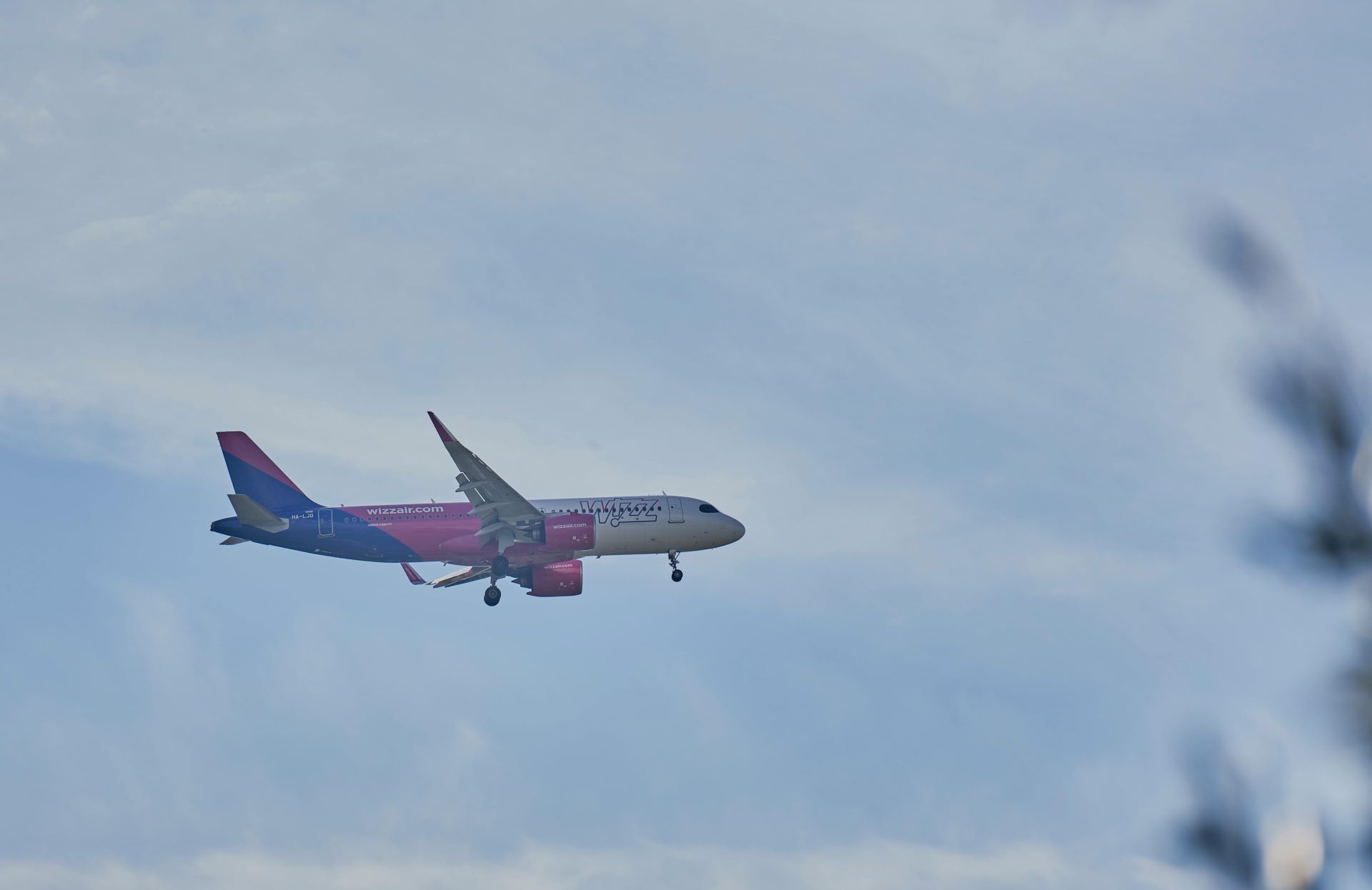 seasonal-airline-promotions boosting-tourist-arrivals-1
