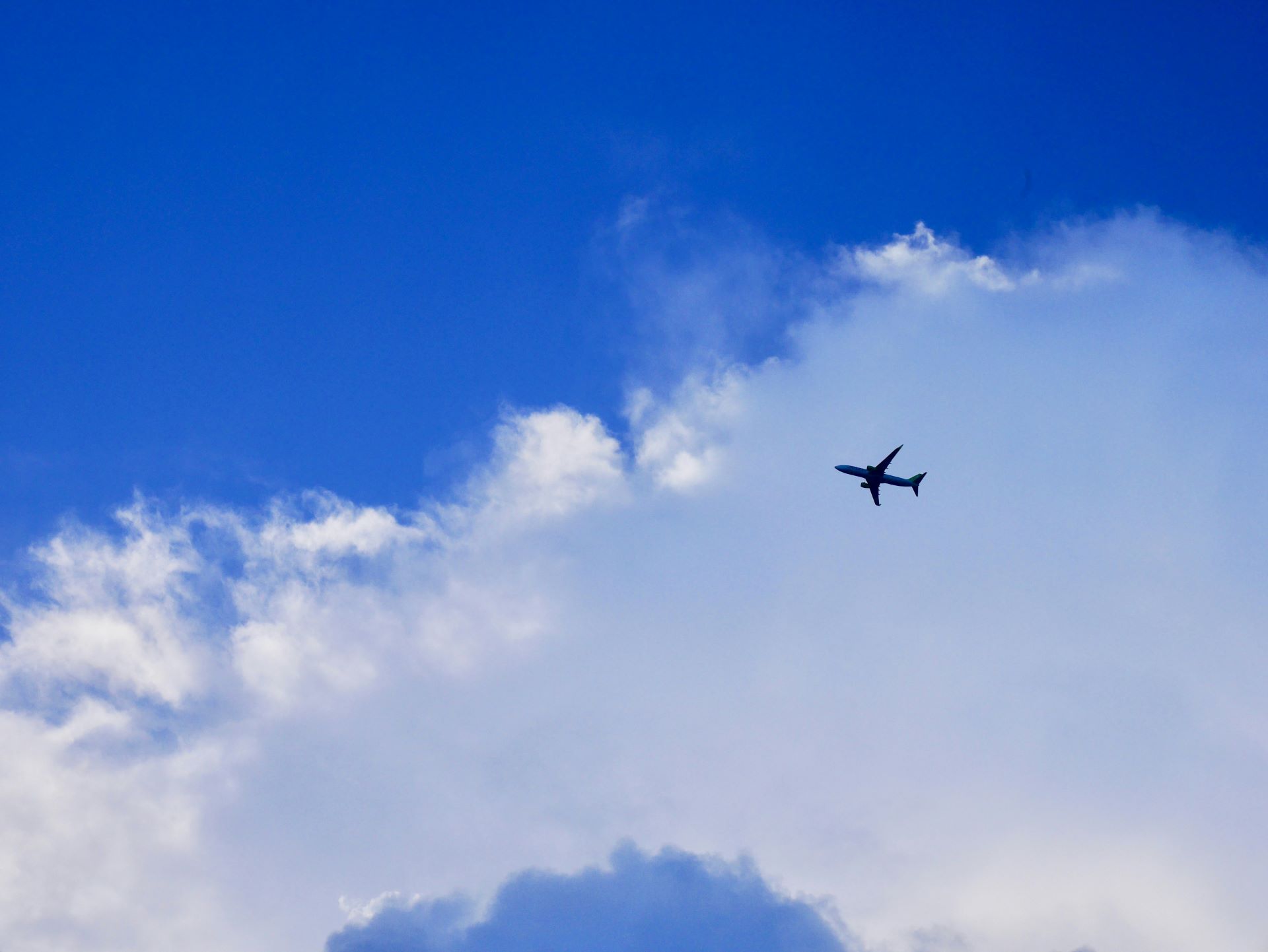 sustainable-skies-airlines-leading-eco-friendly-tourism-1.jpg