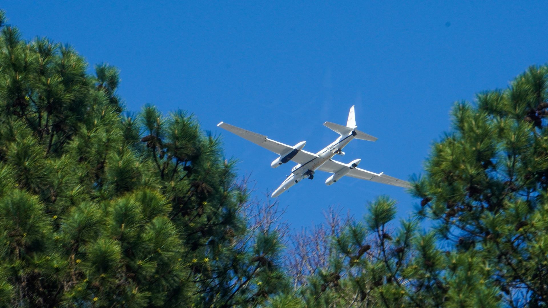sustainable-skies-airlines-leading-eco-friendly-tourism.jpg