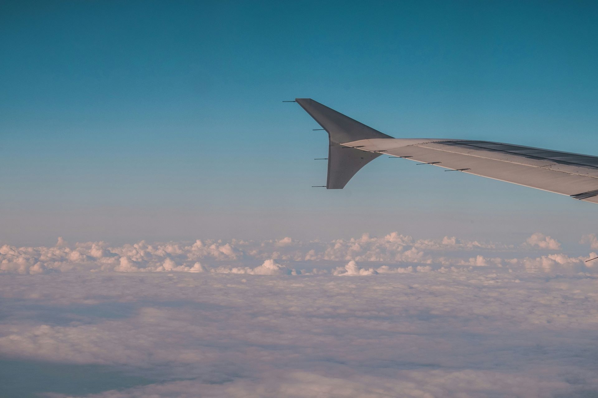 The Future Is Electric How Airlines Are Preparing For The Next Generation Of Sustainable Flight